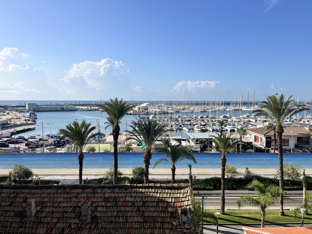ATICO CENTRICO EN TORREVIEJA